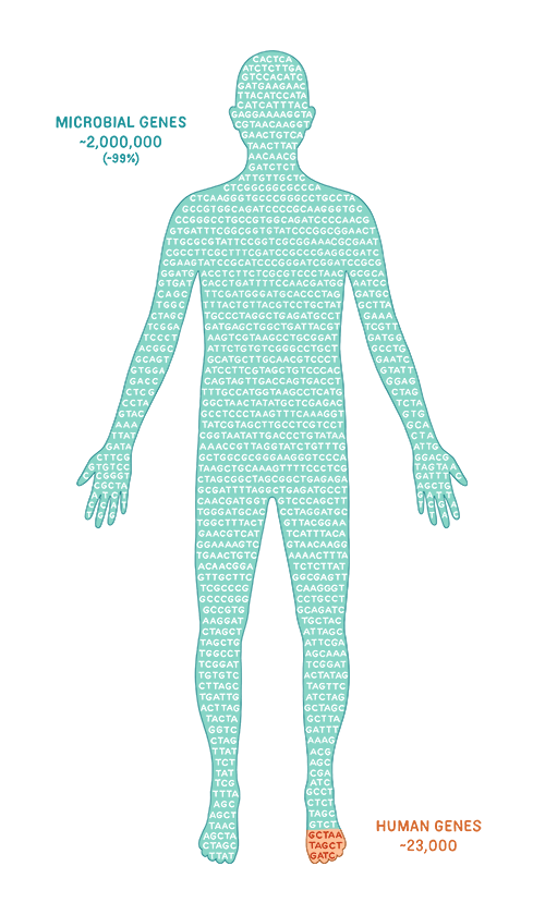 The meme is an image of a person with their body made up of DNA sequences, with the text "Genetic Code" written above it. The image is a play on the idea that humans are made up of genetic code, but it's taken to an absurd level by using actual DNA sequences to form the person's body. The text "Genetic Code" is written in a bold, modern font.